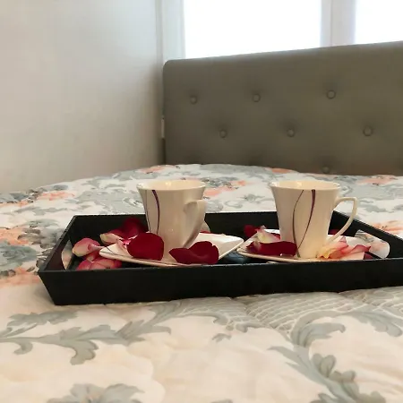Luxury Apartment