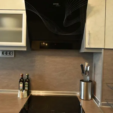 Luxury Apartment